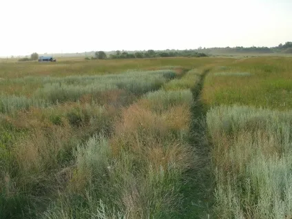 Рязанська область