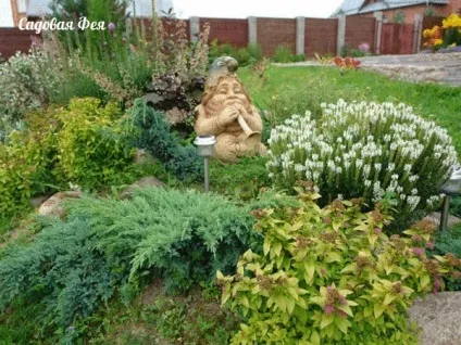 Садові фігурки своїми руками (своїми) Садові фігурки своїми руками