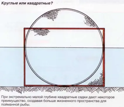 Садок для риби