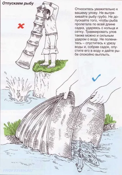Садок для риби