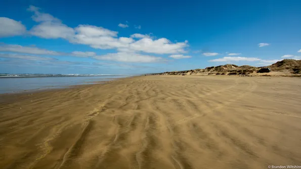 A legnagyobb beach - Érdekességek