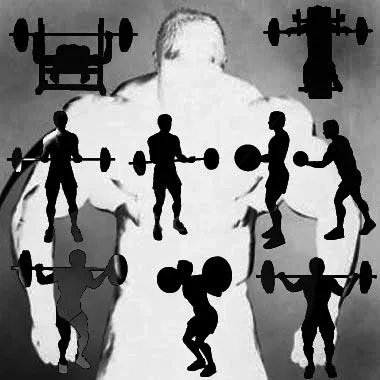 sporturi de putere - cum de a instrui modul de a construi musculare toate pe un singur portal