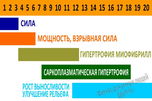 Cât de multe repetari pentru a face exercițiile, sala de fitness pentru oameni inteligenti