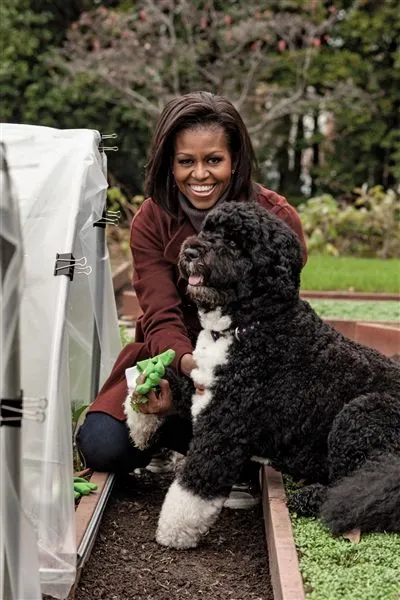 Kutyák prizedenta Barack Obama Balabak kutya