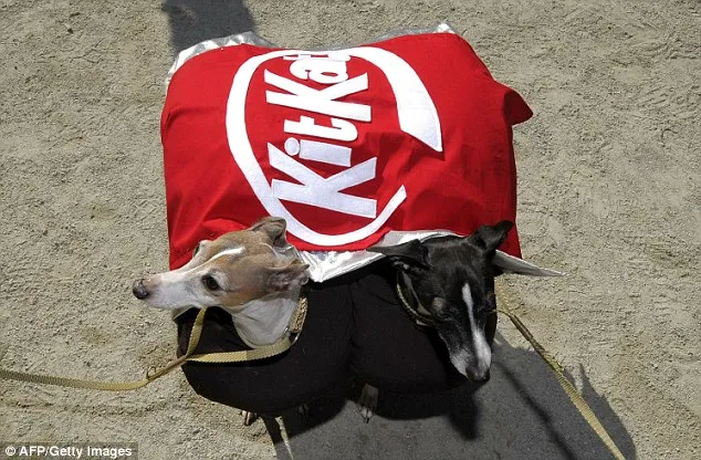 Canine Halloween szórakoztató!