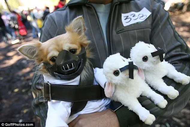 Canine Halloween szórakoztató!