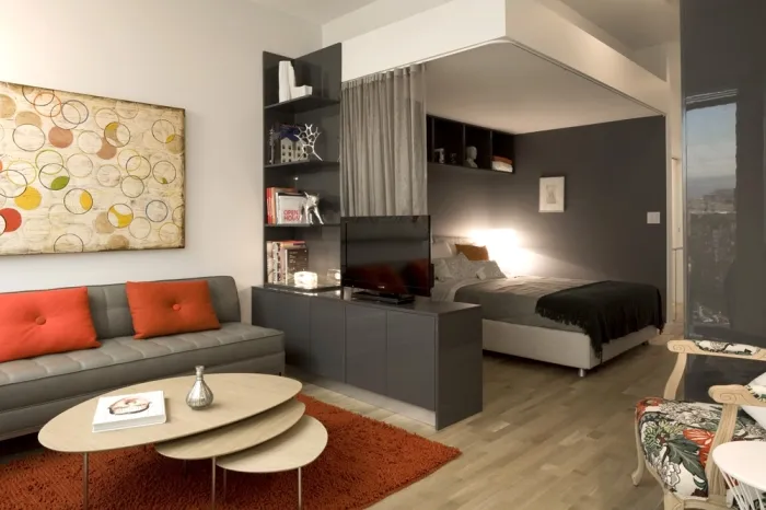 Dormitor-living într-un mic apartament, de lux și confort