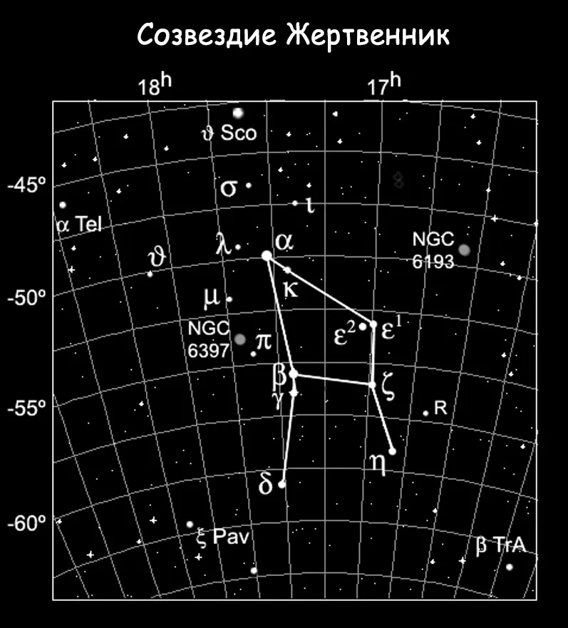 Съзвездие от райска птица 1