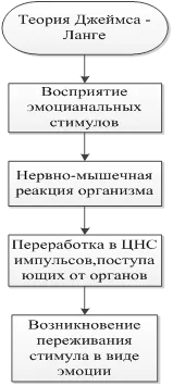 Теория на емоции - стойността на емоциите в професионалния с личния живот