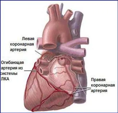 Tema tratamentului de lucru curs de complicații infarct miocardic