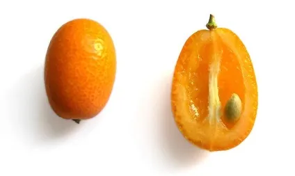 Самі незвичайні фрукти