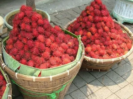 Самі незвичайні фрукти