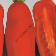 varietate de tomate - Marmande - (Marmande) 300 seminte