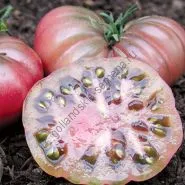 varietate de tomate - Marmande - (Marmande) 300 seminte