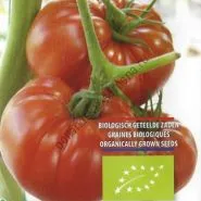 varietate de tomate - Marmande - (Marmande) 300 seminte