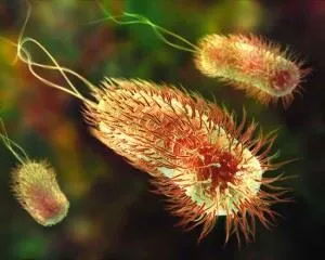 Багрилни свойства - способността на микроорганизмите оцветени