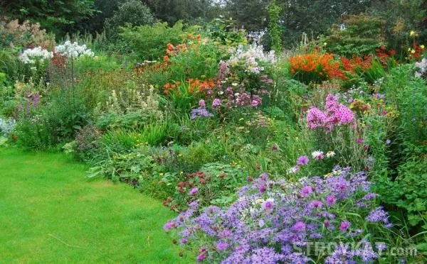 Tipuri și flori paturi - terenuri, curte, gradina, cabana - grădini de flori, paturi de flori