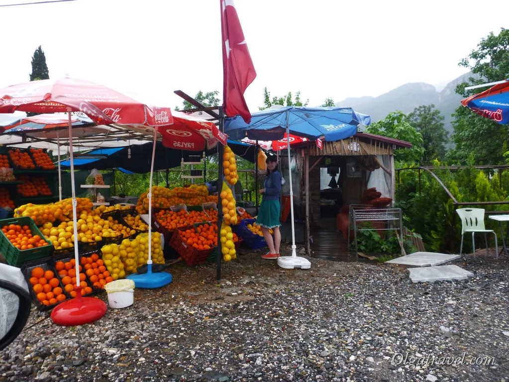 Dalyan Turcia - Turtle Island