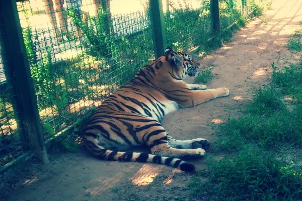 Csodálatos Feldman Ecopark