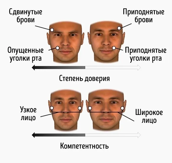 Научете как чертите на лицето да повлияе на имидж в очите на другите