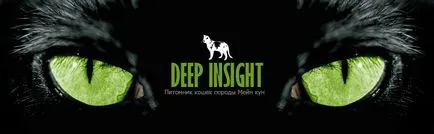 Изборът на коте Мейн Куун, deepinsight