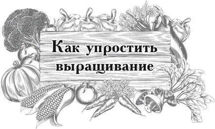 вирощування рижиків