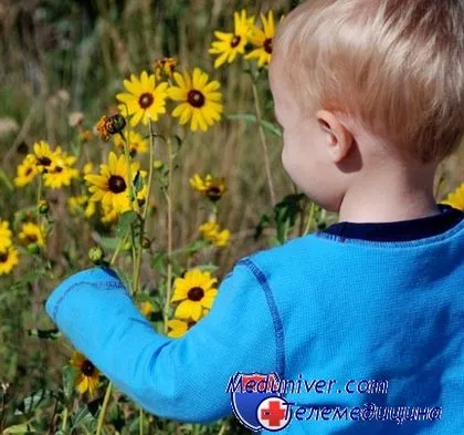 Face plante de apartament pe starea de sănătate a copilului în flori pepinieră