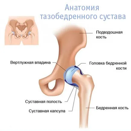 Възпаление на симптомите и лечението на болестта на тазобедрената става