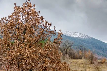 В поході