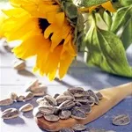Насіння соняшнику склад, користь і властивості соняшникового насіння