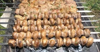 Печериці на мангалі рецепти найсмачніших маринадів (печериці на мангалі) Печериці на мангалі рецепти найсмачніших маринадів