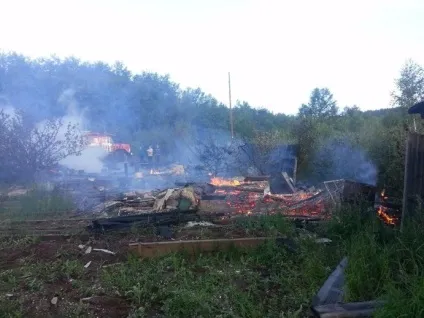 Семеро людей, включаючи дітей, згоріли під час пожежі в дачному будинку в Тернополі області