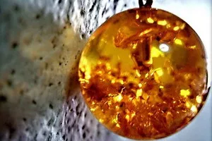 Gemstone кехлибар - най-големият областта и правилното третиране на продуктите