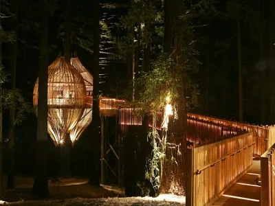 Treehouse galben - un restaurant din Noua Zeelandă