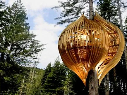 Pagini Aurii construit restaurant eco-friendly pe copac