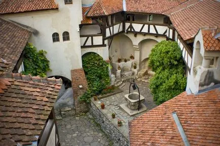 Castelul lui Dracula din România (29 poze, video)