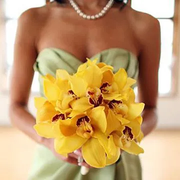 Жълт орхидея - символ на това, което букет от жълти орхидеи