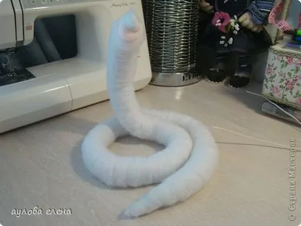 Snake, artiști țară