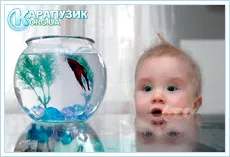 copil rău Aquarium sau beneficii, dezvoltarea copilului