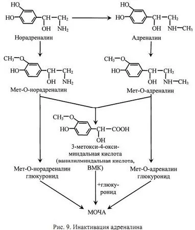 Alla Maslovskaya - биохимични хормони - страница 4