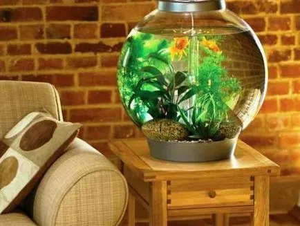 Aquarium egy gyermek