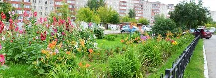 Urban озеленяване на двора - стандарти и интересни решения