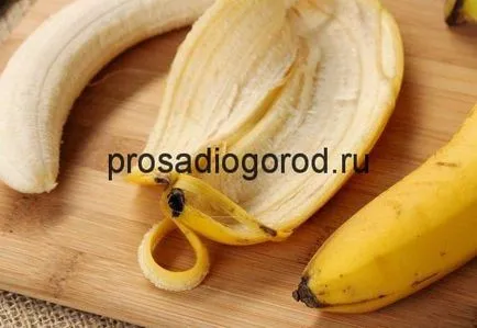 Coaja de banana utilizării ca îngrășământ pentru gradina, foto, video