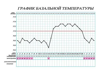 Alaphőmérséklet menstruáció után, az ovulációt megelőzően ütemezés