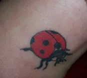 tatuaj Ladybug