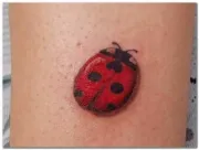 tatuaj Ladybug