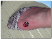 katicabogár tetoválás