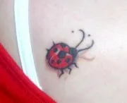 tatuaj Ladybug