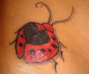 tatuaj Ladybug