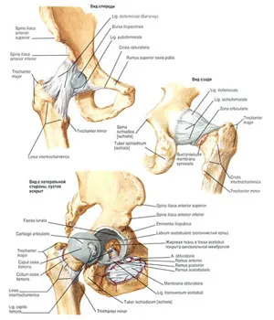 pelvis Sore, dureri pelviene, tratament pelvis inflamat în Blagoveshchensk